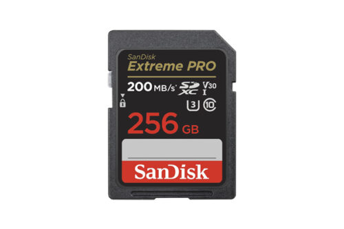 Sandisk extreme PRO 256gb